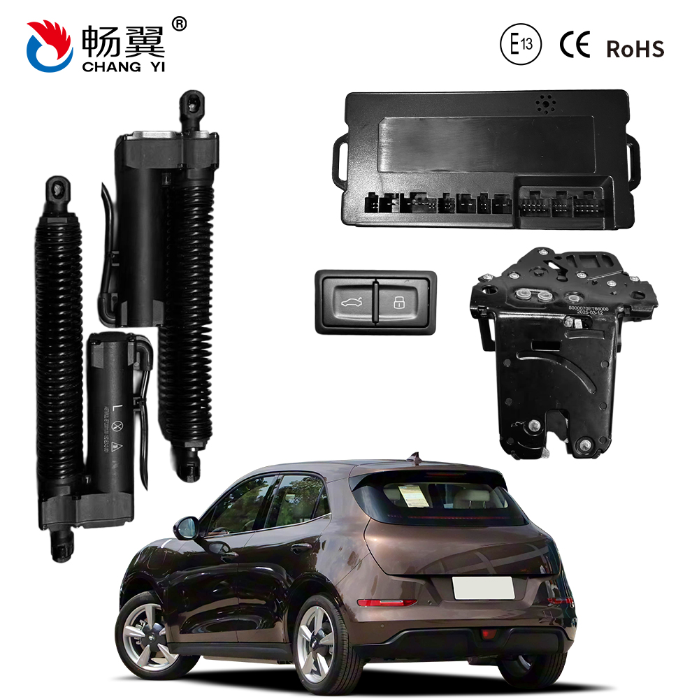 1754016872194125.jpg ET809D Ora Cat 2021.jpg