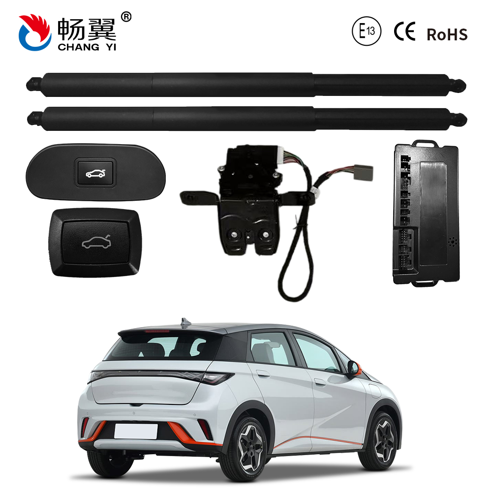 ET108D BYD Dolphin 2021.jpg